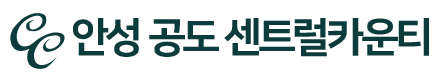 안성 공도 센트럴카운티